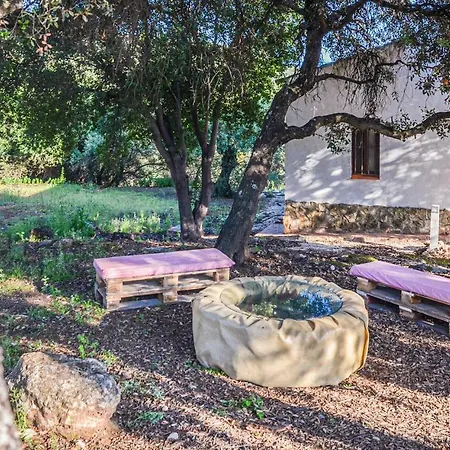 Tatil Evi 1 Bedroom Amazing In