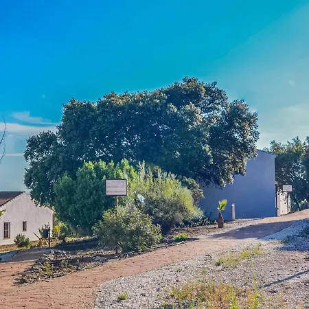 1 Bedroom Amazing In